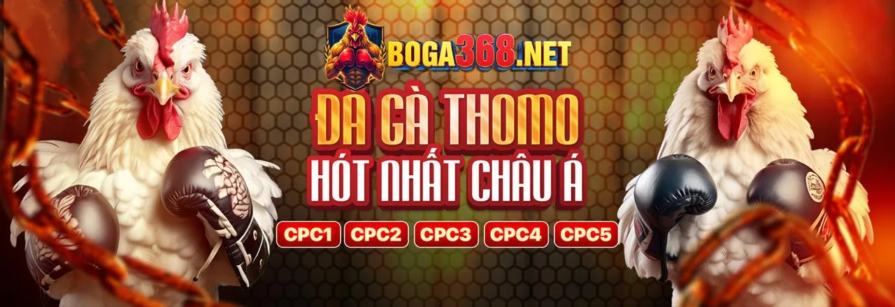 Đá gà trực tuyến Y088 với những trận đấu kịch tính